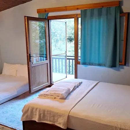 Проживание в семье Ahsen