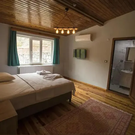 Проживание в семье Ahsen Сельчук