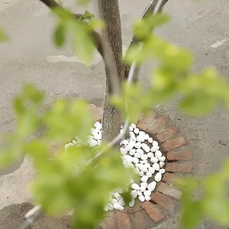 Ahsen منزل للإقامة *