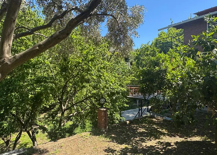 Kwatera prywatna Ahsen *