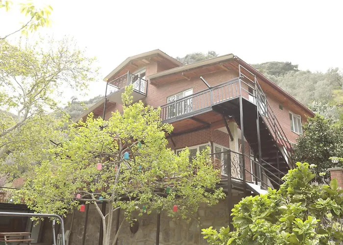 Ahsen * セルチュク