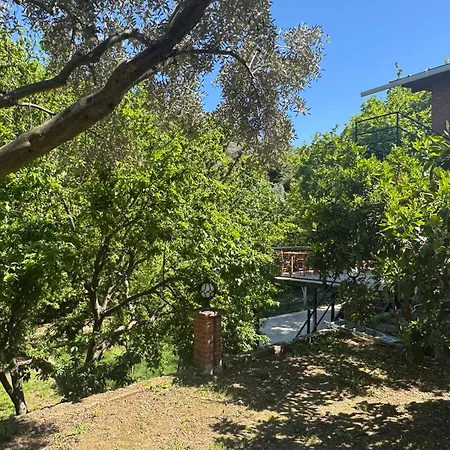 Homestay szállás Ahsen *