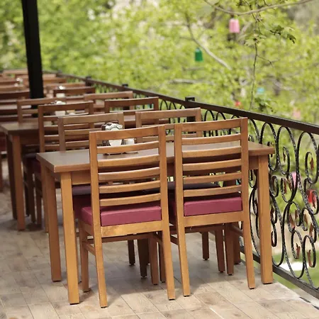 ホームステイ Ahsen