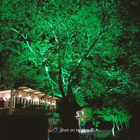 Homestay szállás Ahsen