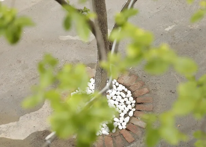 Ahsen Privat bolig *